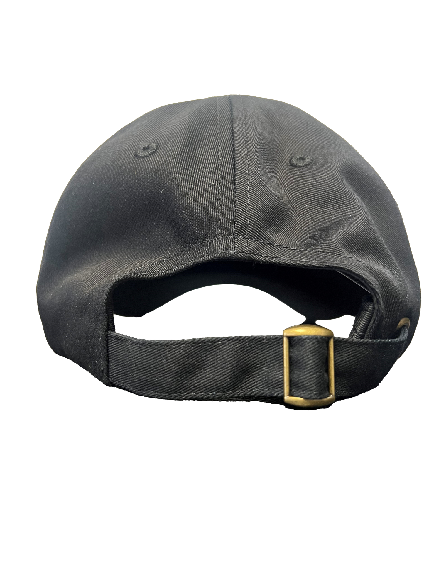REDACTED Dad Hat